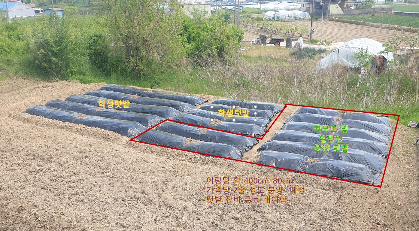 학교텃밭 분양.JPG